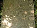 image of grave number 433102